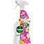 Dettol Antibacterial Multipurpose Cleaner Flower Power 750ML
