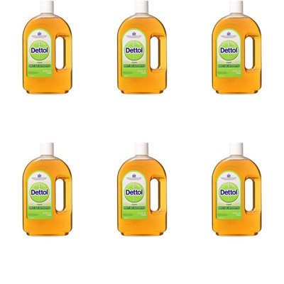 Dettol Antiseptic Disinfectant Liquid 750ml (Pack of 6)