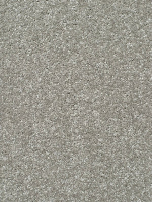 Devotion "Gold" Bleach Cleanable Carpet by Remland (Storm, 4m x 5m)