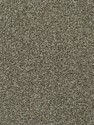 Devotion "Silver" Bleach Cleanable Carpet by Remland (Mushroom, 5m x 4m)