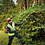 Dewalt DCMPH566N 18v XR Brushless Pole Hedge Trimmer 55cm Long Reach 3.35m Bare