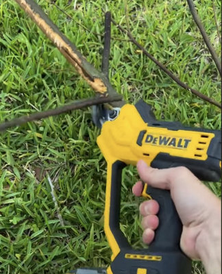 Dewalt tree cutter hotsell