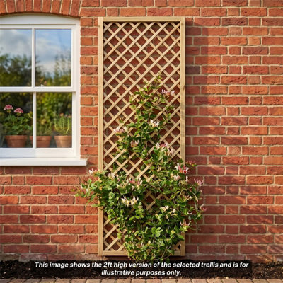 Diamond Trellis Panels 5 Pack 6ft x 1ft Framed Garden Wooden Lattice ...