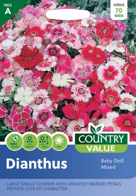 Dianthus Baby Doll Mixed by Country Value