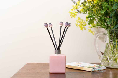 Diffuser Decor - Poppy Seed Heads Range - L10 x W10 x H2 cm