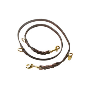 Digby & Fox Braided Leather Training Dog Lead Brown (One Size)
