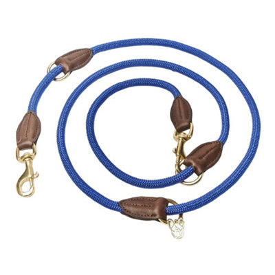 Digby & Fox Leather Dog Lead Blue (One Size)