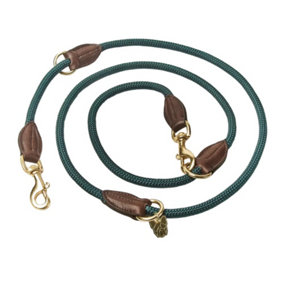 Digby & Fox Leather Dog Lead Green (One Size)