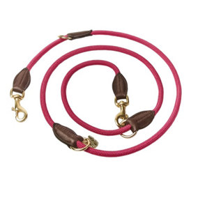 Digby & Fox Leather Dog Lead Pink (One Size)