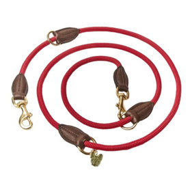 Digby & Fox Leather Dog Lead Red (One Size)