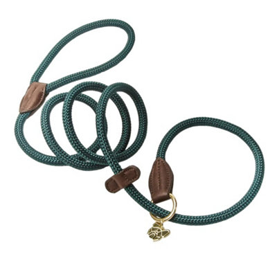 Digby & Fox Leather Dog Slip Lead Green (One Size) Price Comparisons | Compare The Build
