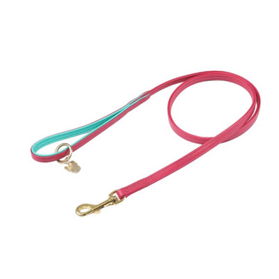 Digby & Fox Leather Padded Dog Lead Pink (1.2cm) Price Comparisons | Compare The Build