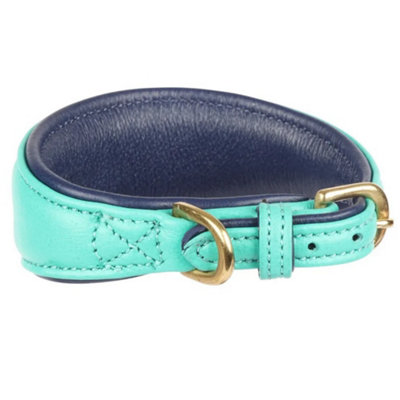 Digby & Fox Leather Padded Greyhound Dog Collar Teal (L - Neckline: 35cm-39cm) Price Comparisons | Compare The Build