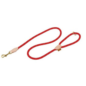 Digby & Fox Reflective Leather Dog Lead Scarlet (One Size)