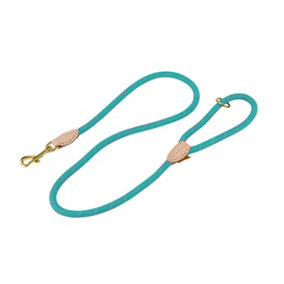 Digby & Fox Reflective Leather Dog Lead Teal (One Size)