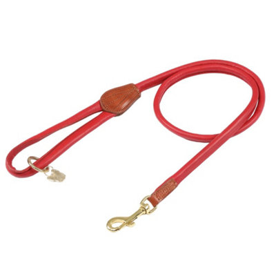 Digby & Fox Rolled Leather Dog Lead Scarlet (One Size) Price Comparisons | Compare The Build