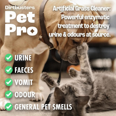 Dirtbusters Pet Pro Artificial Grass Cleaner For Dogs & Cats, With Reactivating Odour Eliminator (5L)