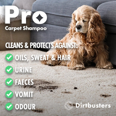 Dirtbusters Pet Pro Carpet Shampoo 5L