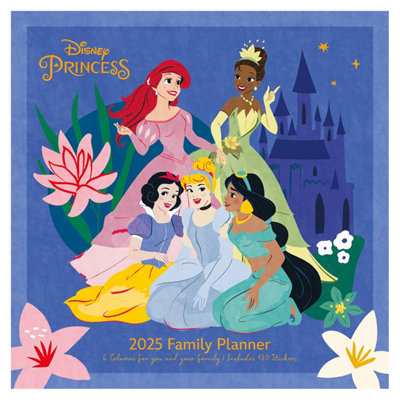 Disney Princess recognized 2025 Square