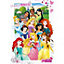 Disney Princess Poster Multicoloured (One Size)
