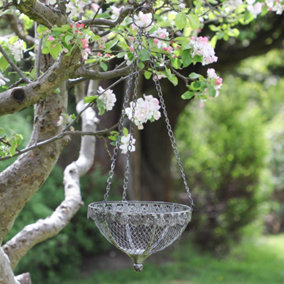 Distressed Ornate Hanging Garden Basket Planter