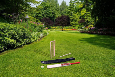 DIVCHI Cricket Set in Mesh Carry Bag, available in size 3, 5 Suitable for approximate ages 8-12 years