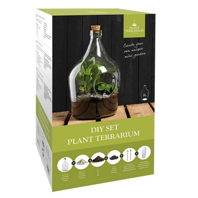 DIY Open Bottle Plant Terrarium Starter Kit - 3 Litre