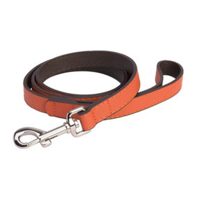 DO&G Dog Puppy Leather Lead Quality Real Leather - Orange