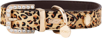 Do&g 2024 dog collar