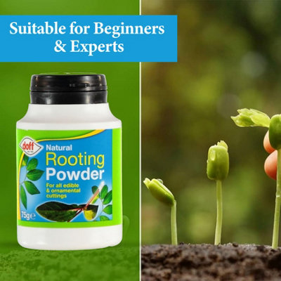 Doff Natural Rooting Powder Seaweed Plant Cutting Grafting Root Growth ...