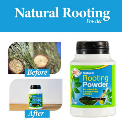 Doff Natural Rooting Powder Seaweed Plant Cutting Grafting Root Growth ...