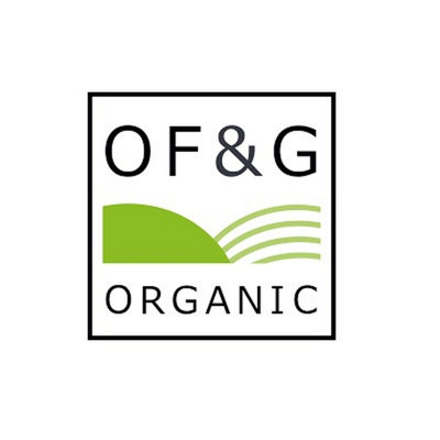 8-Quart Digital Air Fryer