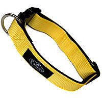 Dog Collar Neoprene Padded Waterproof Comfort Collar Yellow M