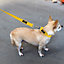 Dog Collar Neoprene Padded Waterproof Comfort Yellow S