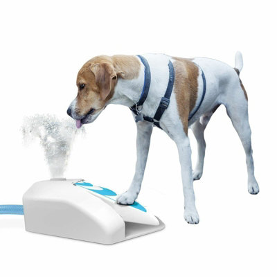 Diy outdoor best sale dog water fountain