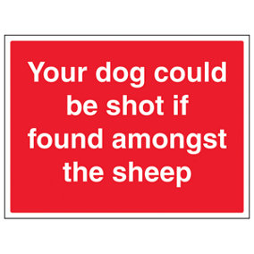 Dog Could Be Shot If Amongst Sheep Sign - Rigid Plastic 400x300mm (x3)