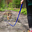 Dog Pet Puppy Training Lead Leash 50ft 15m Long Obedience Recall Blue