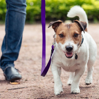 Dog Pet Puppy Training Lead Leash 50ft 15m Long Obedience Recall Purple