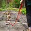 Dog Pet Puppy Training Lead Leash 50ft 15m Long Obedience Recall Red
