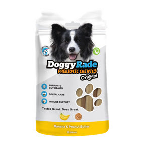 DoggyRade Prebiotic Chewies - Peanut Butter&Banana 100g - Pack of 12