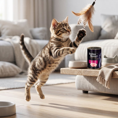 Dolina Noteci Premium Turkey Junior Wet Cat Food for Kittens 400g ...
