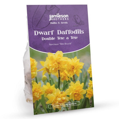 Double Tete a Tete Daffodil Bulbs (80 bulbs) - Dwarf Daffodils by ...