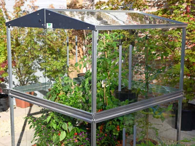 Double Tomato Greenhouse - Aluminium/Glass - L121 x W121 x H149 cm - Without Coating - 5