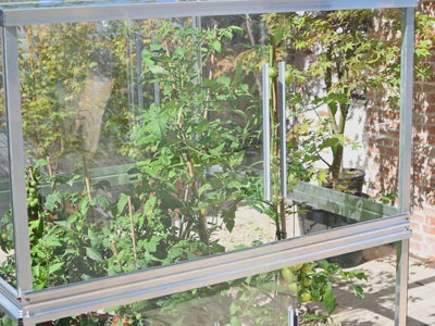 Double Tomato Greenhouse - Aluminium/Glass - L121 x W121 x H149 cm - Without Coating - 6