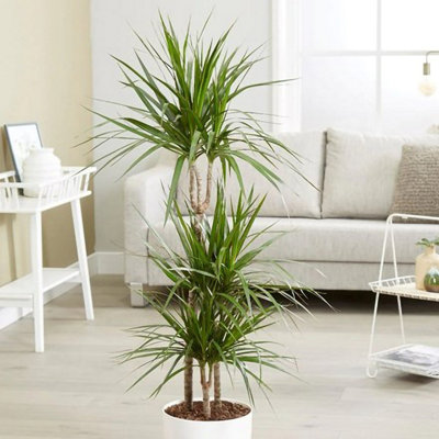 vertical hanging planter 7 Tier GreenStalk Leaf Vertical Planter | Evergreen (Basic Texture)