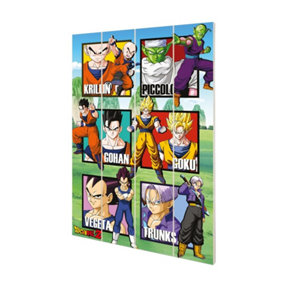 Dragon Ball Z Warrior Squares Plaque Multicoloured (29.5cm x 20cm)