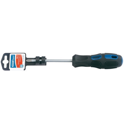 Draper Expert Cross Slot Screwdriver, No.2 x 100mm 40019