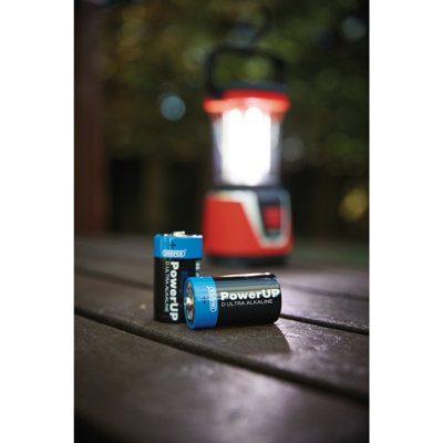 Draper PowerUP Ultra Alkaline D Batteries (Pack of 12) 03980 - 3