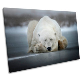 Dreaming White Polar Bear Sleeping CANVAS WALL ART Print Picture (H)30cm x (W)46cm