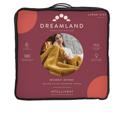 Dreamland zebra electric throw sale